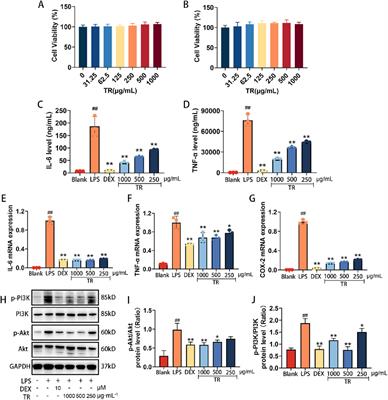 Tinosporae Radix attenuates acute pharyngitis by regulating glycerophospholipid metabolism and inflammatory responses through PI3K-Akt signaling pathway